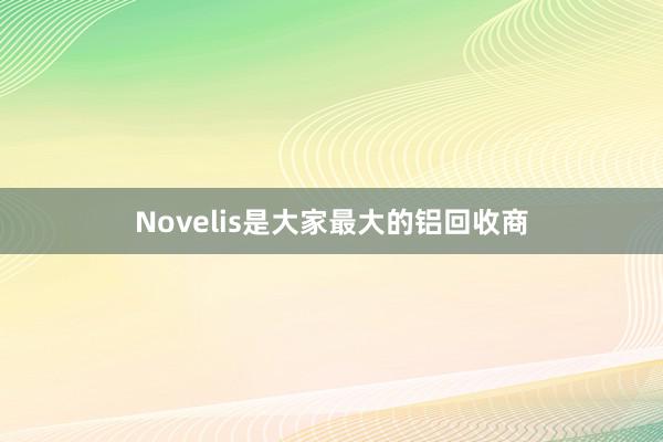 Novelis是大家最大的铝回收商